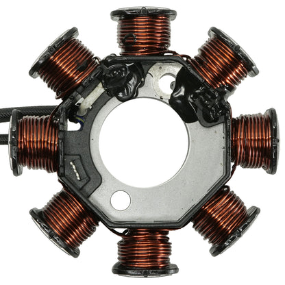 12V 8 Pole Stator Charging Coil Magneto for Kawasaki KLX110 KLX110L 21003-0097